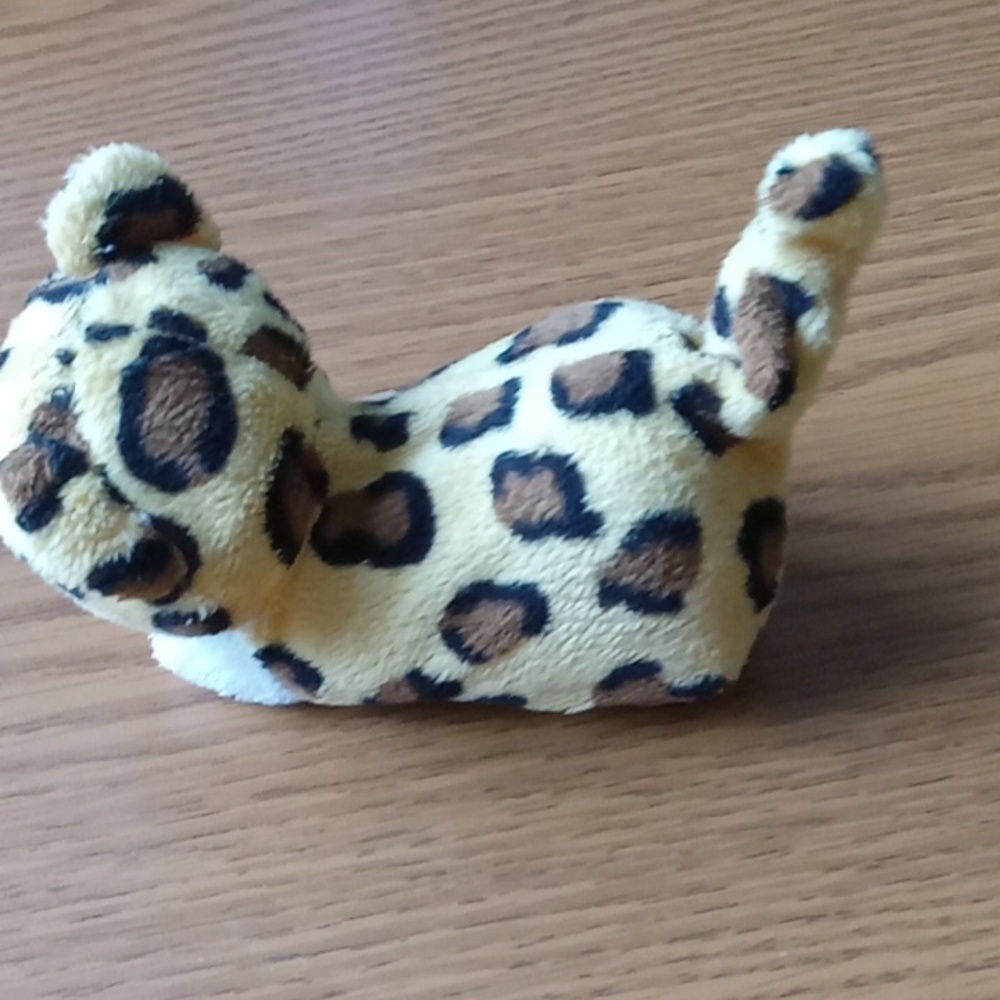 Cheetah - Picture 2 of 6